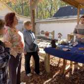 Use the arrows or slide the photo to see more