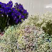 Use the arrows or slide the photo to see more