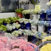 Use the arrows or slide the photo to see more