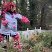 Use the arrows or slide the photo to see more