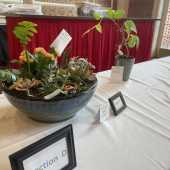 Use the arrows or slide the photo to see more