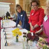 Use the arrows or slide the photo to see more